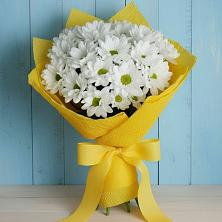 Букет цветов из:  Хризантемы в Печорах