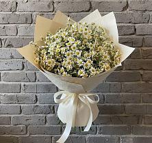 Букет цветов из:  Ромашки в Печорах