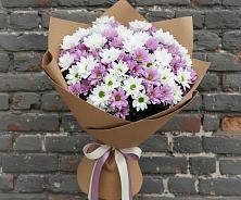 Букет цветов из:  Хризантемы в Печорах