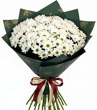 Букет цветов из:  Хризантемы #REPLACE_PRED# Печорах