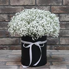 Цветочная композиция из Гипсофила в шляпной коробке #REPLACE_PRED# Печорах