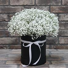 Цветочная композиция из Гипсофила в шляпной коробке в Печорах