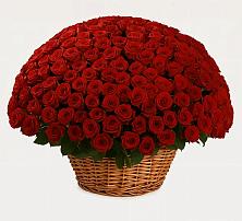 Премиум букет из: Розы в Печорах