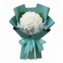 Букет цветов из:  Гортензия #REPLACE_PRED# Печорах